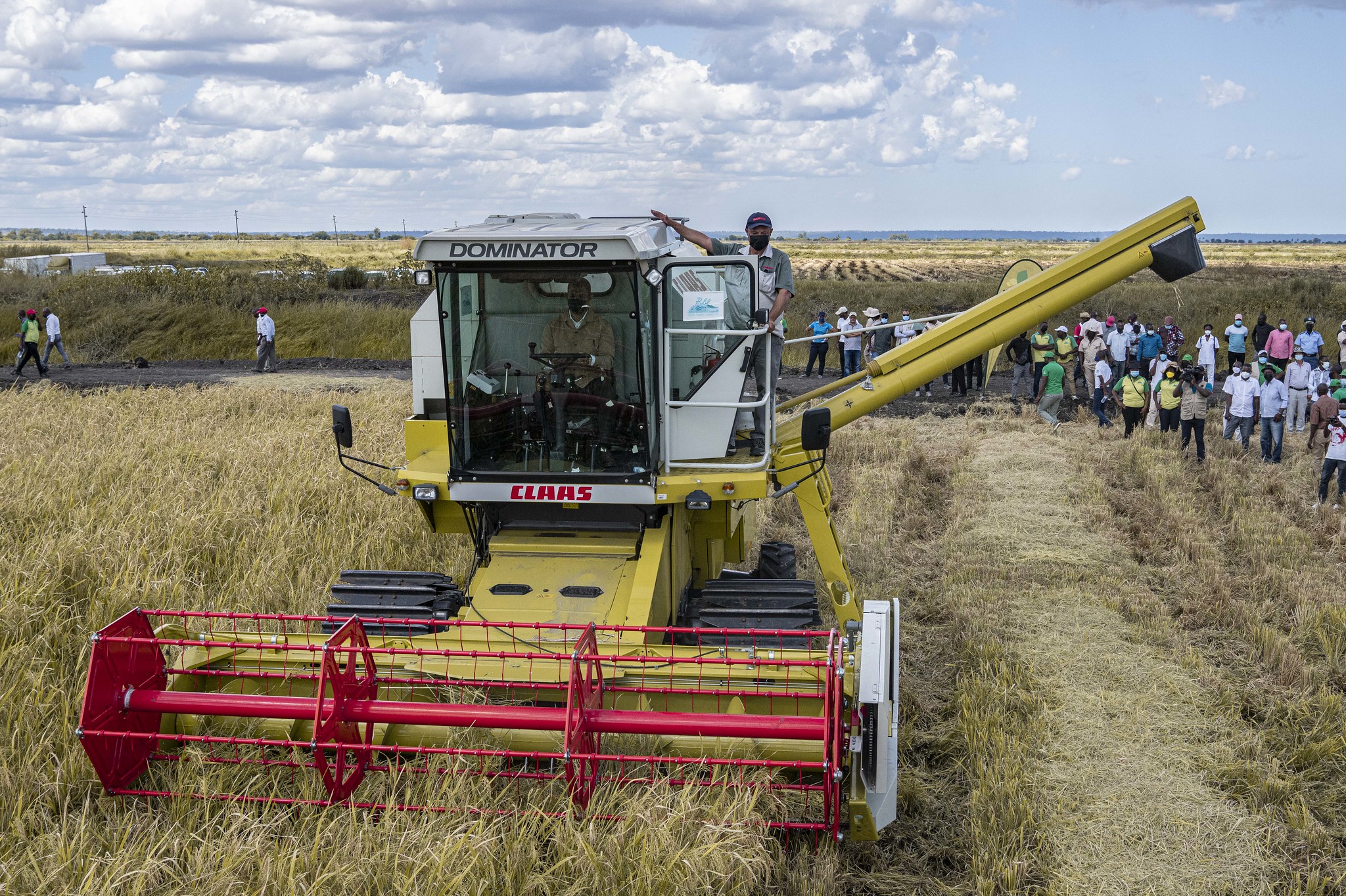 Agricultura impulsiona crescimento económico em 2022