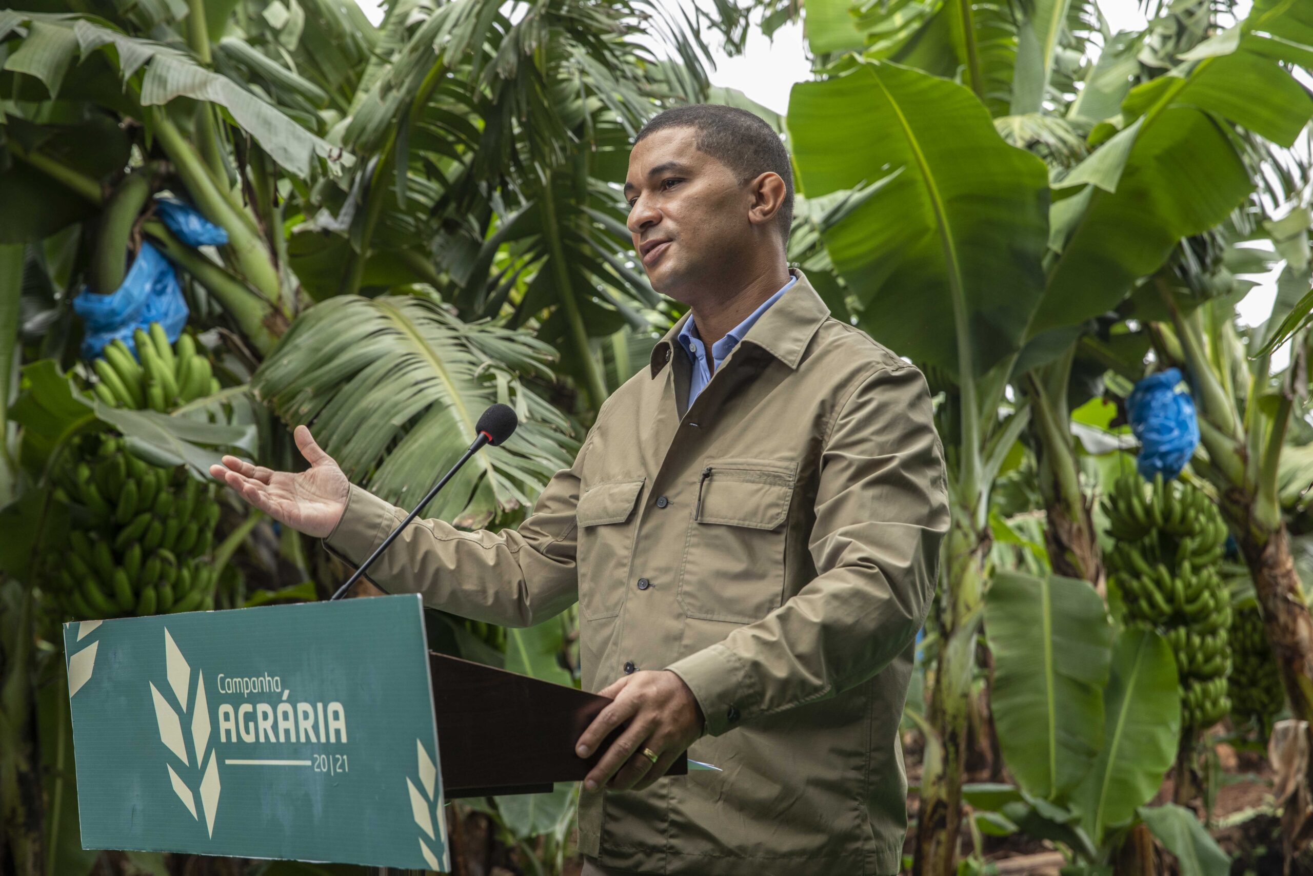 Governo aposta na distribuição de sementes para garantir segunda época de hortícolas