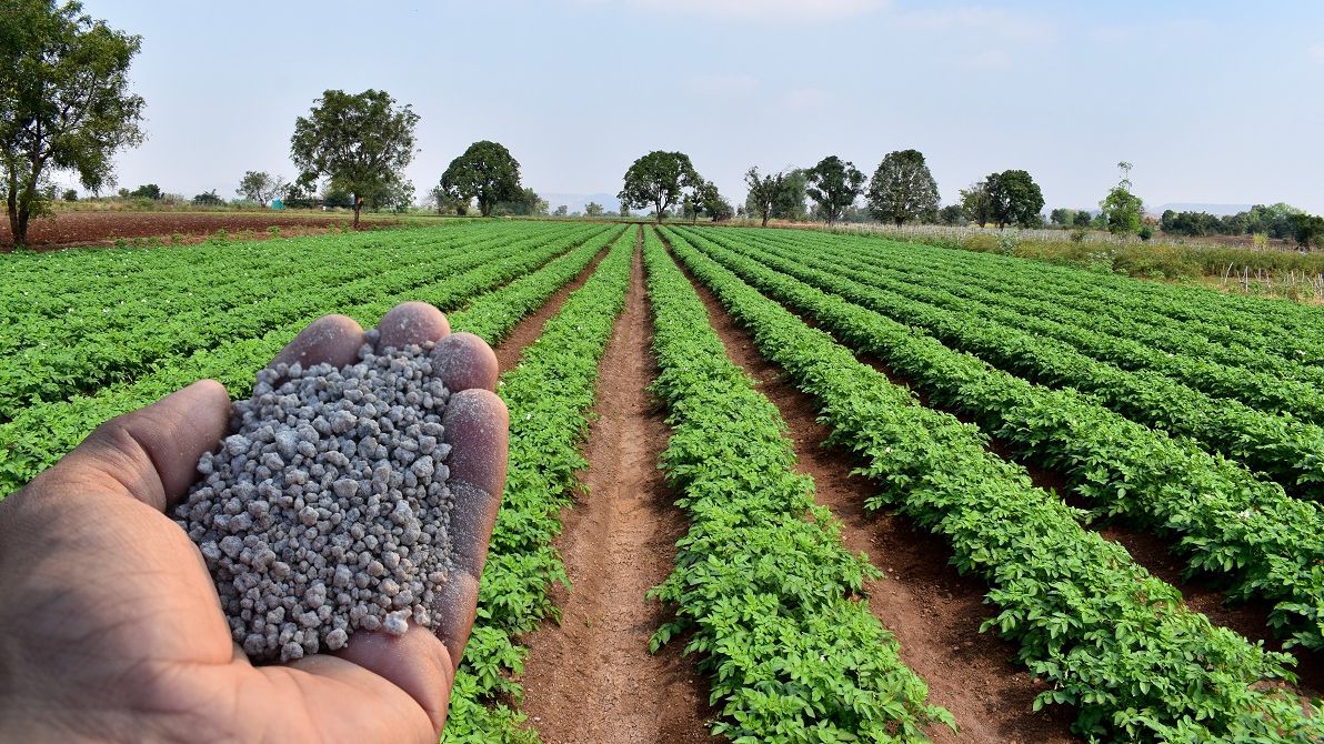 Gigante marroquina OCP prevê aumentar produção de fertilizantes