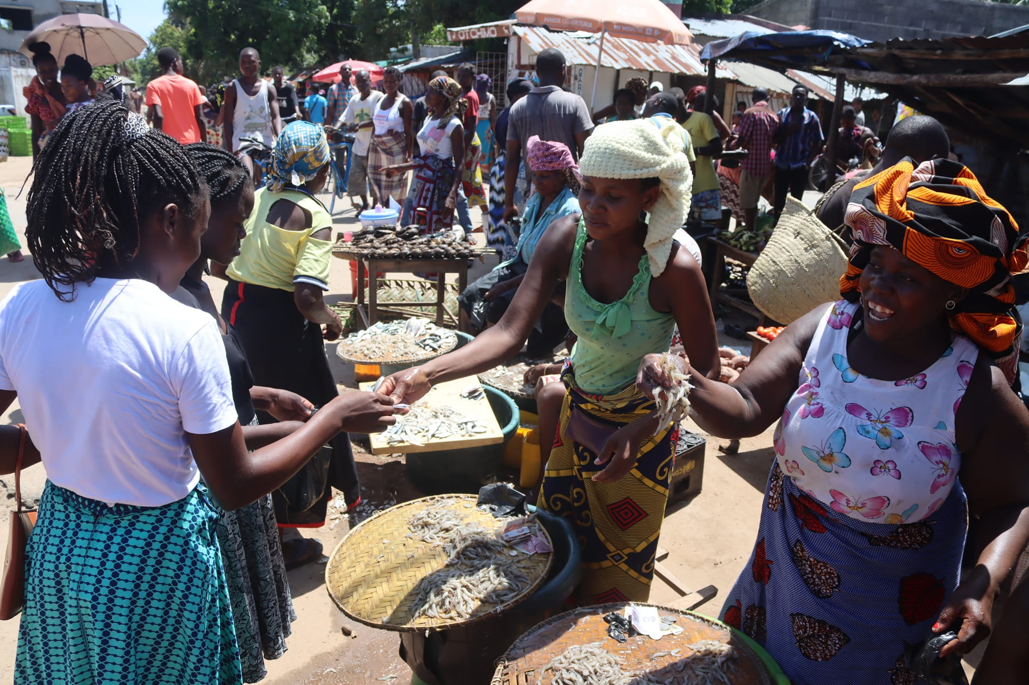 Feira do peixe promove Pende em Quelimane