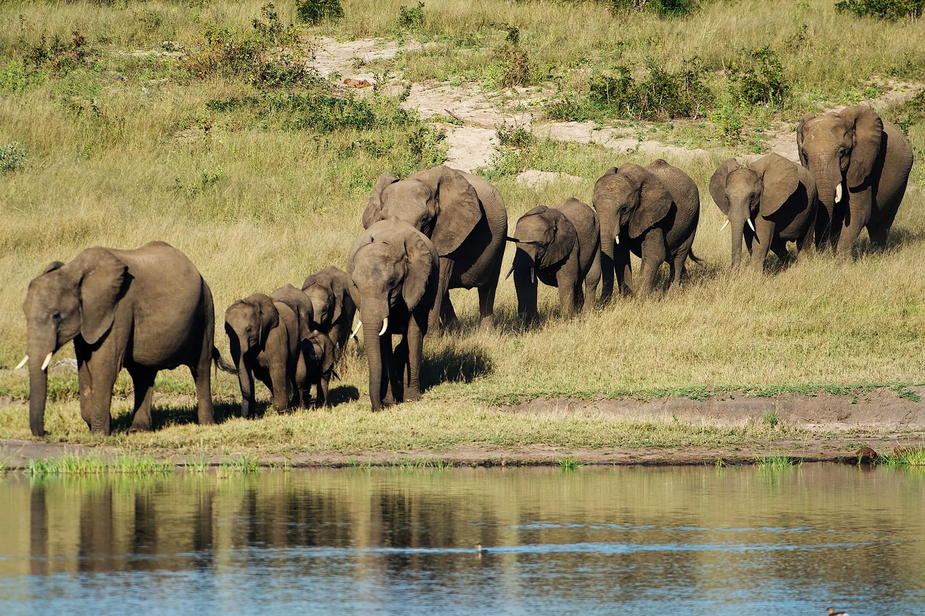 Província de Maputo terá primeira áreas de Conservação Comunitária