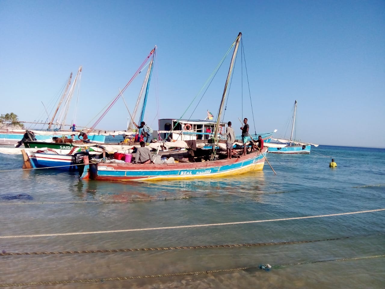 Cerca de meia tonelada de caranguejo vivo apreendido em Pemba