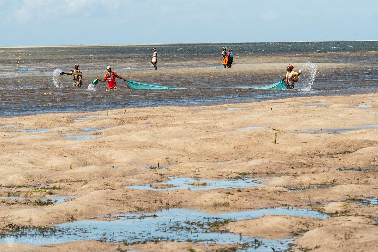 Sistema de Conservação e Processamento do Pescado do Ibo vai a restauração