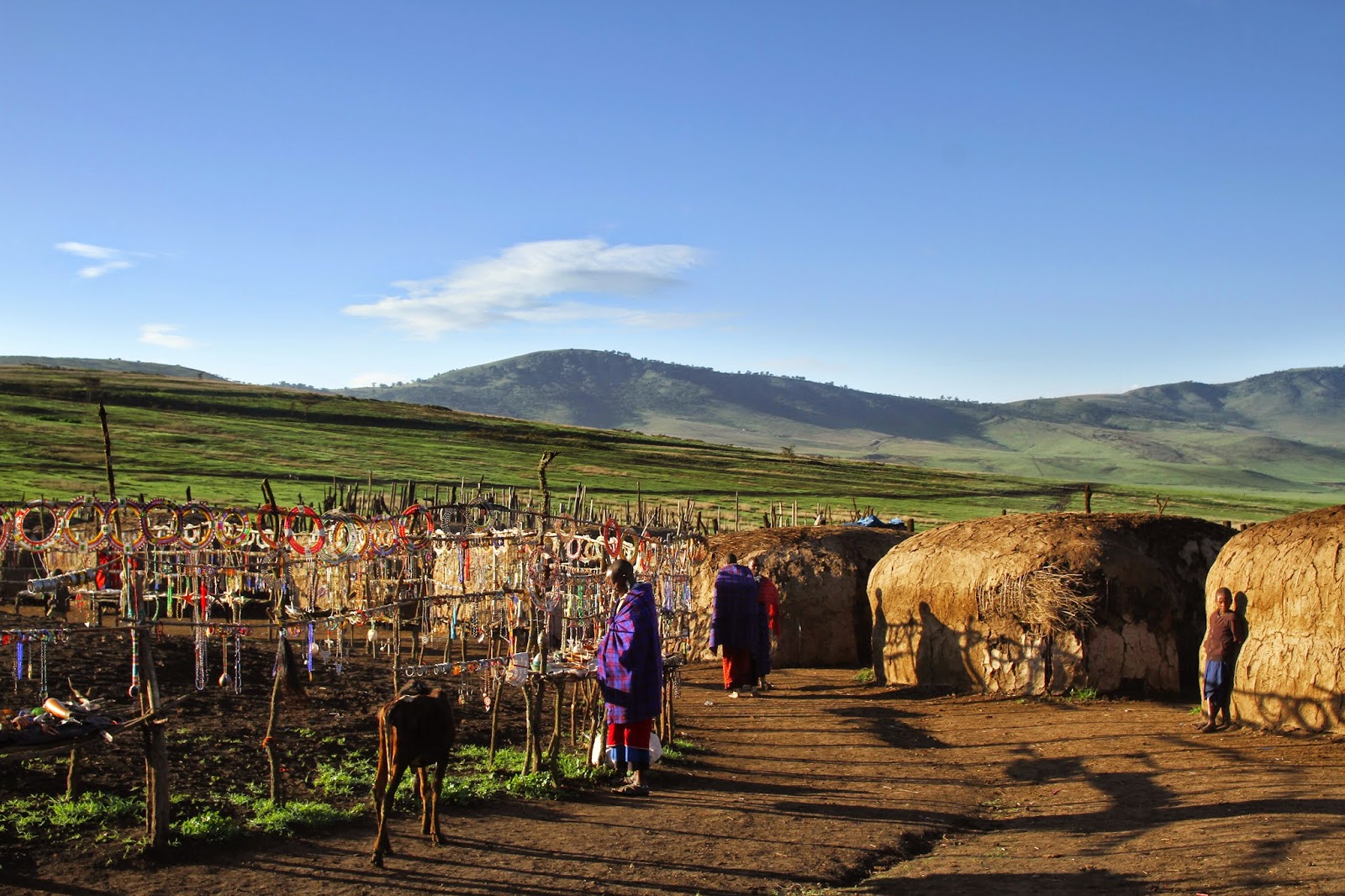 Dez projectos africanos premiados pelo trabalho em prol da acção climática