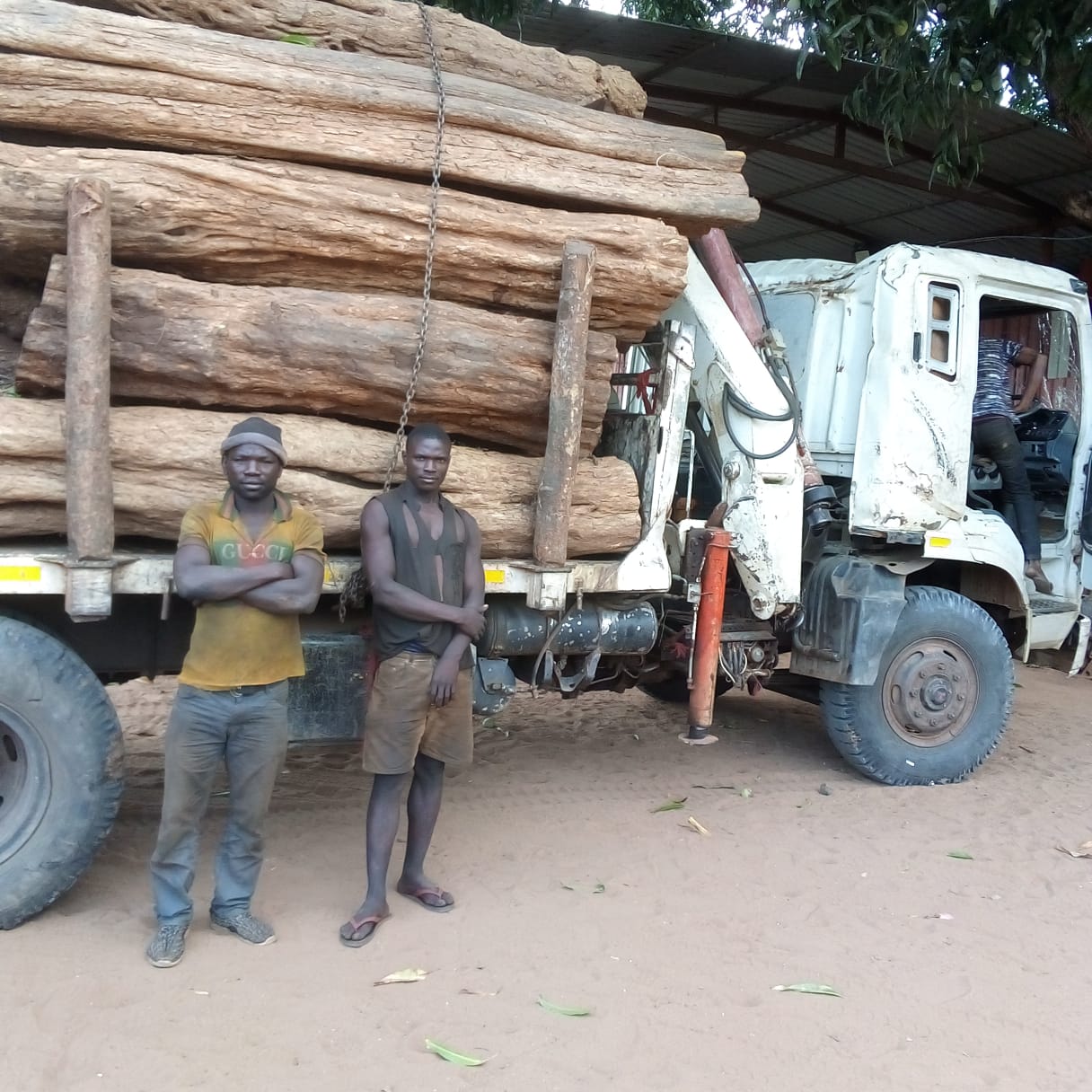 Apreendidas 84 unidades de Pau-Ferro em Cabo Delgado